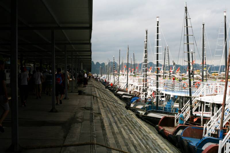 Ha Long Bay Accelerates Recovery Efforts Post-Typhoon Yagi to Attract Tourists