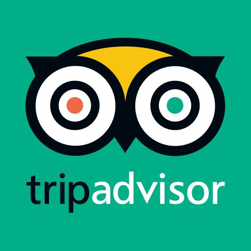 Reviews from our Clients on Trip Advisor