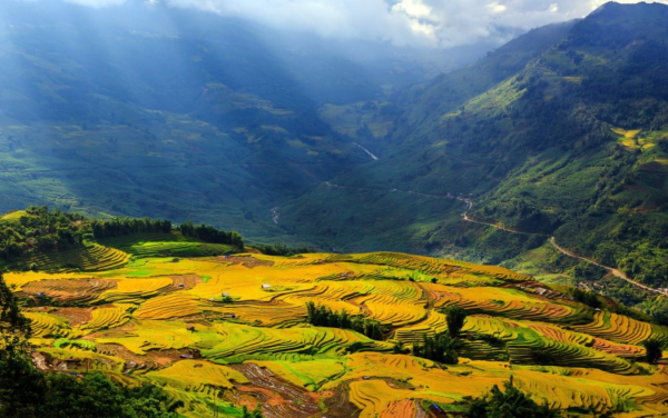 Sapa Tours