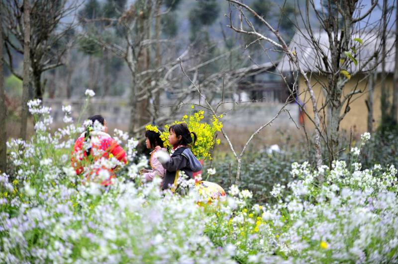 Lo Lo people in Hagiang